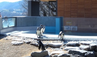 ���É�������