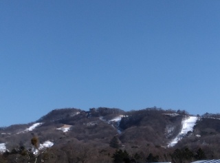 �y���w����