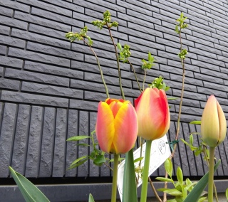 �炢�����炢������